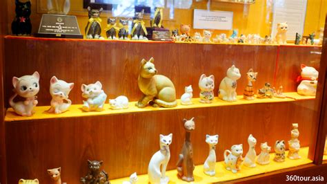 THE 10 CLOSEST Hotels to Cat Museum .